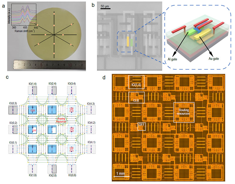 1764224629927905.jpg 基于二维过渡金属硫化物的现场可编程门阵列(FPGA).jpg